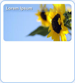 Lorem Ipsum